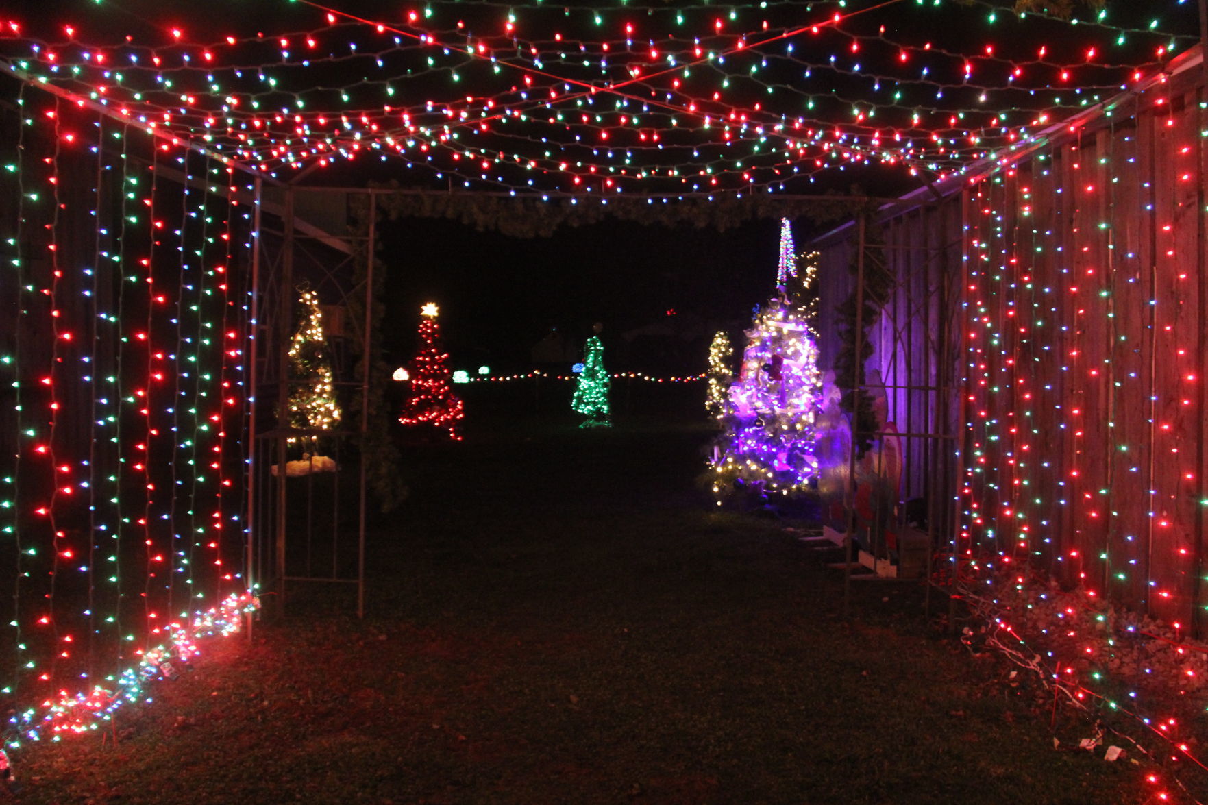 Holiday tour of lights 2
